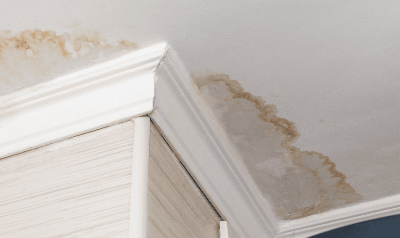 Is Your House Leaking? 5 Steps To Follow.